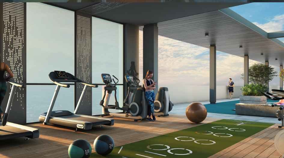 Dream-Delmont-gym